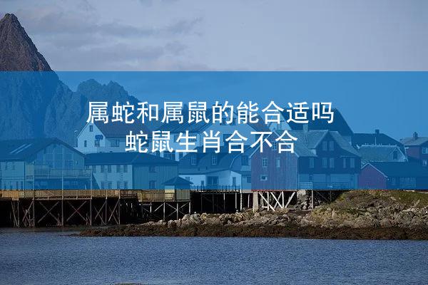 属蛇和属鼠的能合适吗 蛇鼠生肖合不合