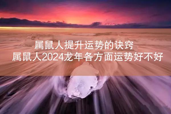 属鼠人提升运势的诀窍 属鼠人2024龙年各方面运势好不好