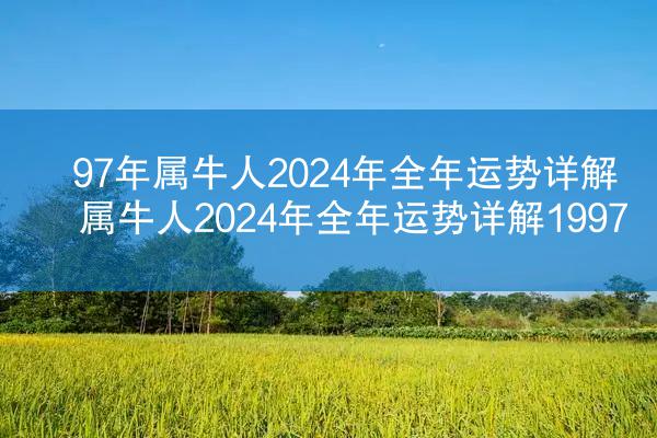 97年属牛人2024年全年运势详解 属牛人2024年全年运势详解1997