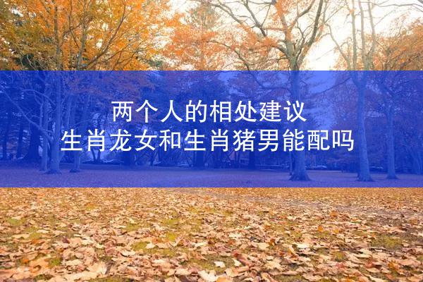 两个人的相处建议 生肖龙女和生肖猪男能配吗
