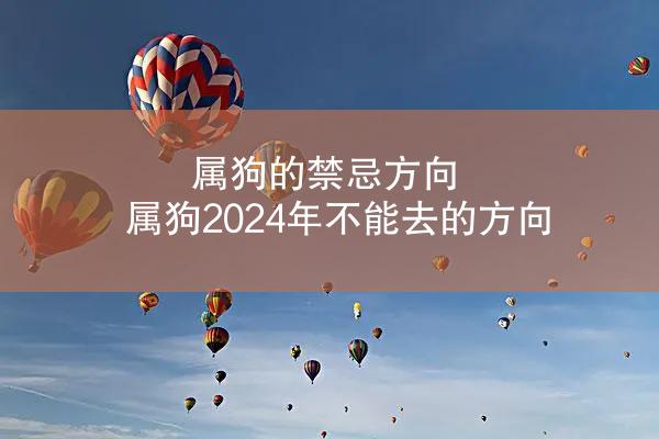 属狗的禁忌方向 属狗2024年不能去的方向
