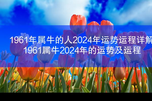 1961年属牛的人2024年运势运程详解 1961属牛2024年的运势及运程