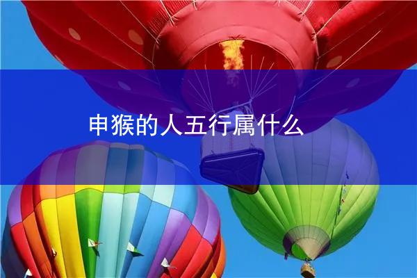 申猴的人五行属什么
