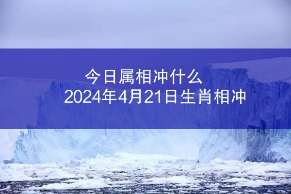 今日属相冲什么 2024年4月21日生肖相冲