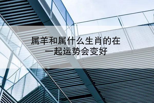 属羊和属什么生肖的在一起运势会变好