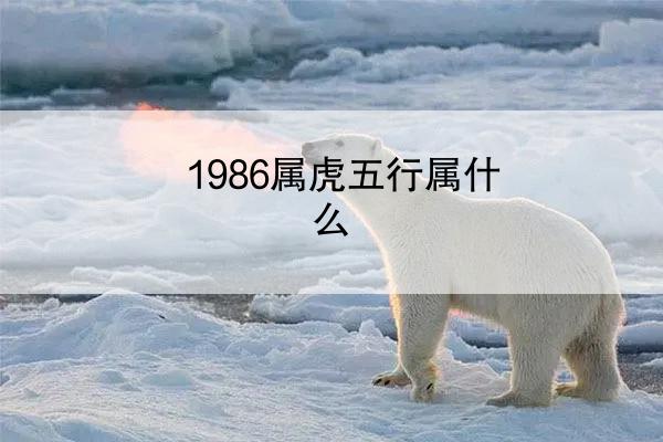 1986属虎五行属什么