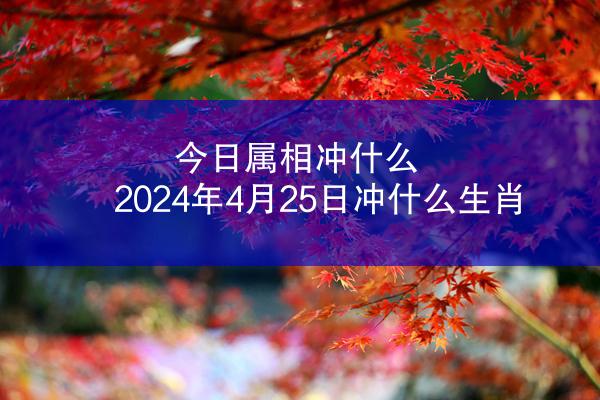 今日属相冲什么 2024年4月25日冲什么生肖
