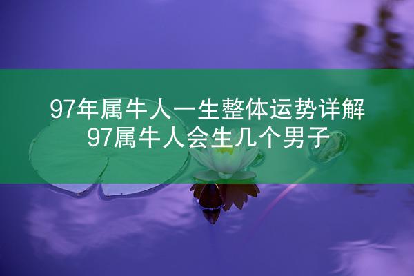 97年属牛人一生整体运势详解 97属牛人会生几个男子