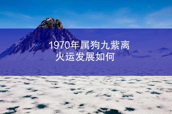 1970年属狗九紫离火运发展如何