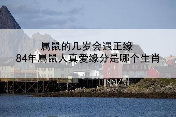属鼠的几岁会遇正缘 84年属鼠人真爱缘分是哪个生肖