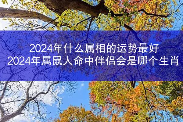 2024年什么属相的运势最好 2024年属鼠人命中伴侣会是哪个生肖