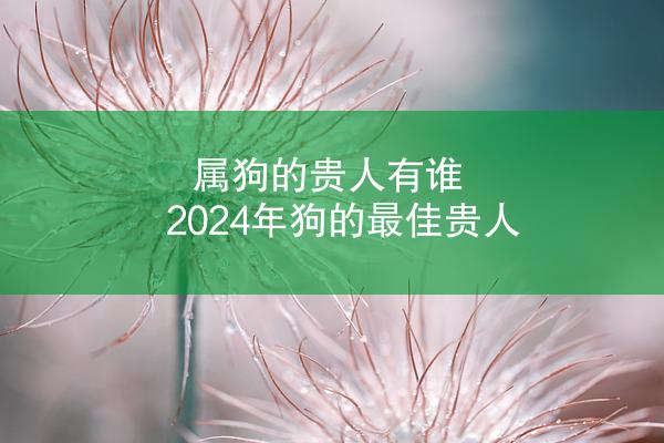 属狗的贵人有谁 2024年狗的最佳贵人
