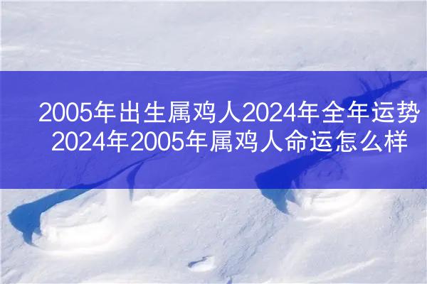 2005年出生属鸡人2024年全年运势 2024年2005年属鸡人命运怎么样