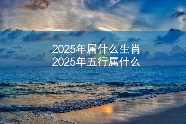 2025年属什么生肖 2025年五行属什么