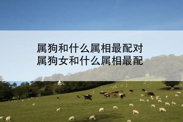 属狗和什么属相最配对 属狗女和什么属相最配