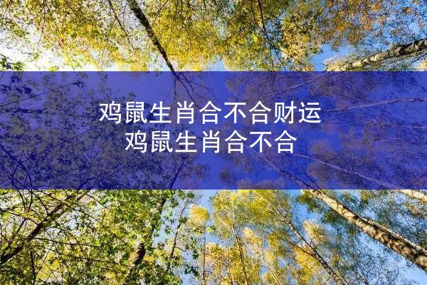 鸡鼠生肖合不合财运 鸡鼠生肖合不合