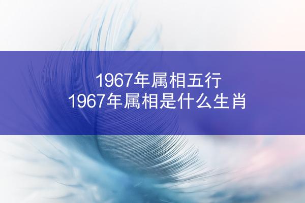 1967年属相五行 1967年属相是什么生肖