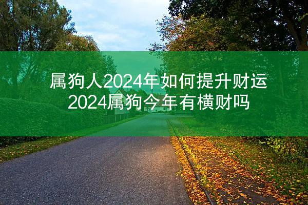 属狗人2024年如何提升财运 2024属狗今年有横财吗