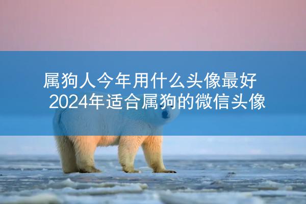 属狗人今年用什么头像最好 2024年适合属狗的微信头像