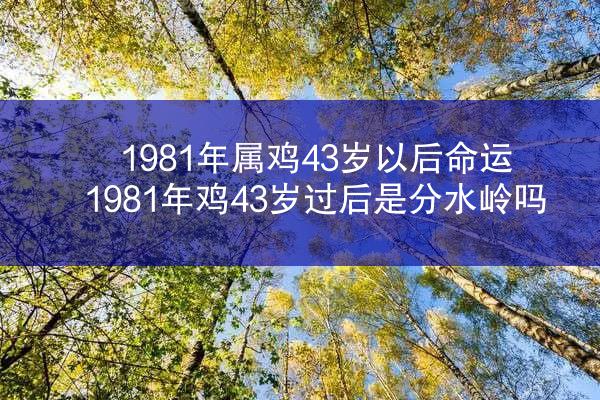 1981年属鸡43岁以后命运 1981年鸡43岁过后是分水岭吗