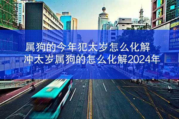 属狗的今年犯太岁怎么化解 冲太岁属狗的怎么化解2024年