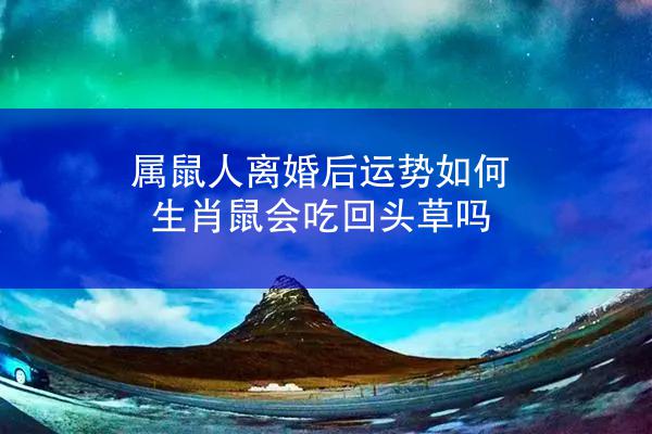 属鼠人离婚后运势如何 生肖鼠会吃回头草吗