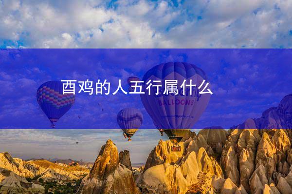 酉鸡的人五行属什么