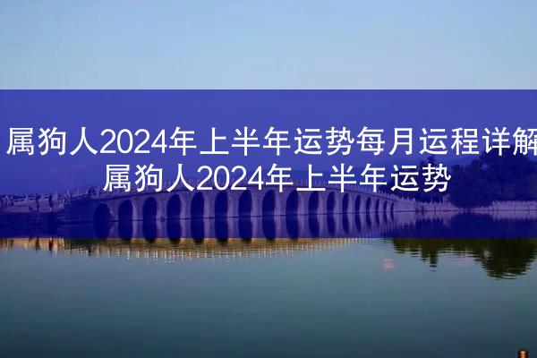属狗人2024年上半年运势每月运程详解 属狗人2024年上半年运势