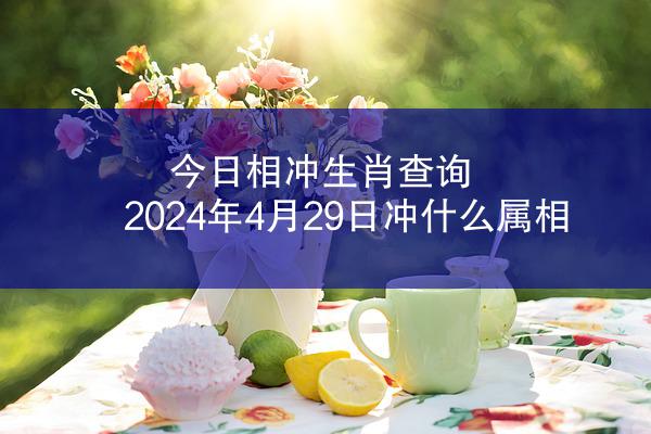 今日相冲生肖查询 2024年4月29日冲什么属相