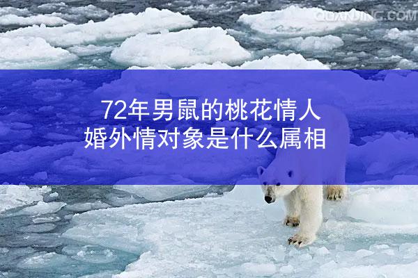 72年男鼠的桃花情人婚外情对象是什么属相