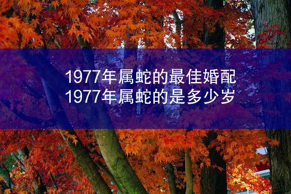 1977年属蛇的最佳婚配 1977年属蛇的是多少岁