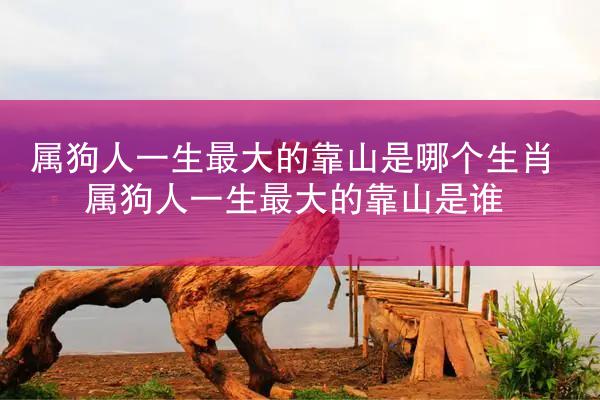 属狗人一生最大的靠山是哪个生肖 属狗人一生最大的靠山是谁