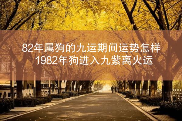 82年属狗的九运期间运势怎样 1982年狗进入九紫离火运