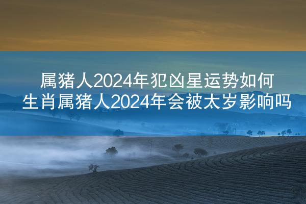 属猪人2024年犯凶星运势如何 生肖属猪人2024年会被太岁影响吗