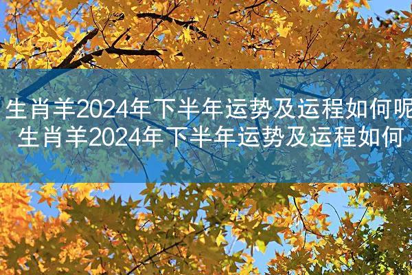 生肖羊2024年下半年运势及运程如何呢 生肖羊2024年下半年运势及运程如何