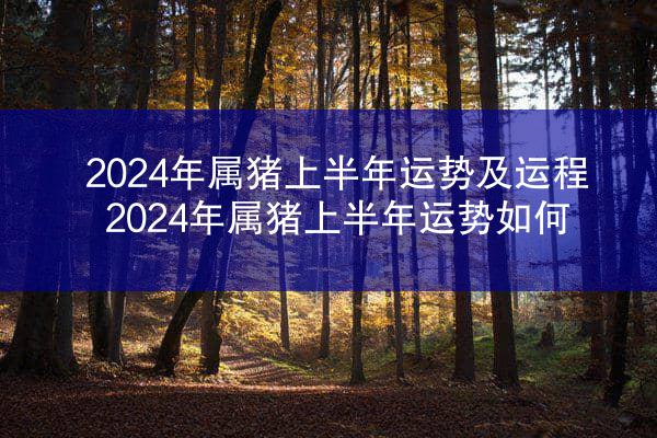 2024年属猪上半年运势及运程 2024年属猪上半年运势如何