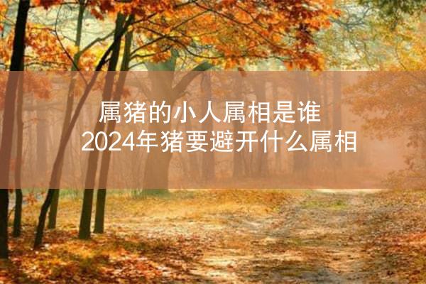 属猪的小人属相是谁 2024年猪要避开什么属相