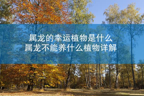 属龙的幸运植物是什么 属龙不能养什么植物详解