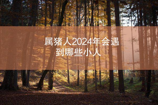 属猪人2024年会遇到哪些小人