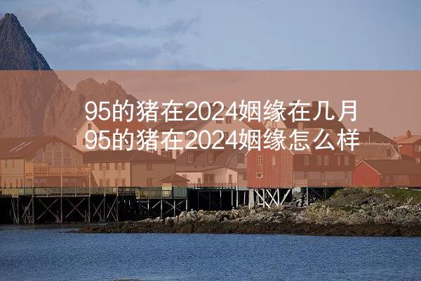 95的猪在2024姻缘在几月 95的猪在2024姻缘怎么样