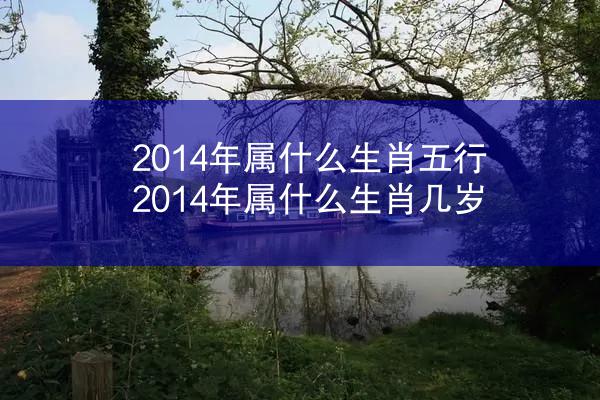 2014年属什么生肖五行 2014年属什么生肖几岁