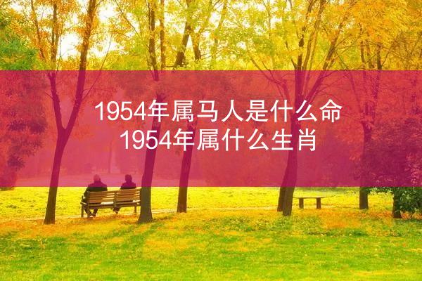 1954年属马人是什么命 1954年属什么生肖
