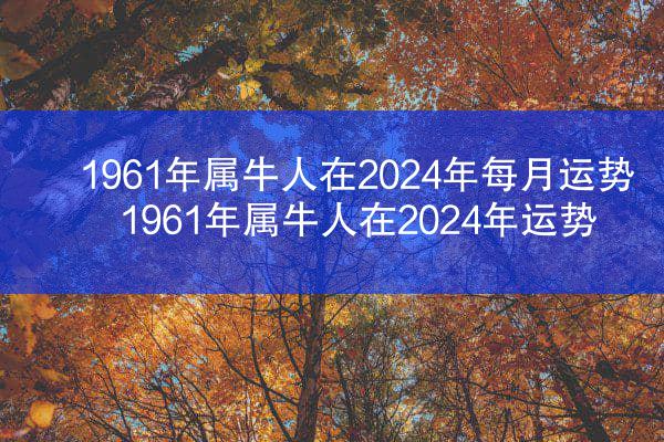 1961年属牛人在2024年每月运势 1961年属牛人在2024年运势