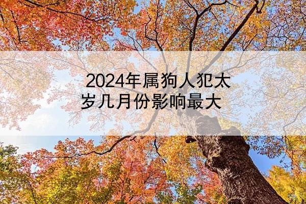 2024年属狗人犯太岁几月份影响最大