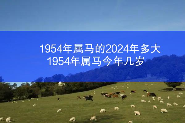 1954年属马的2024年多大 1954年属马今年几岁