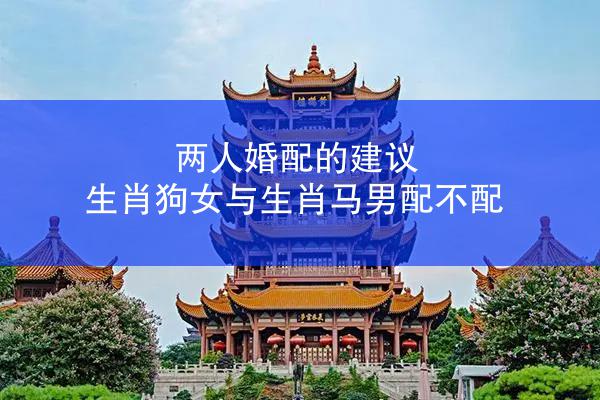 两人婚配的建议 生肖狗女与生肖马男配不配