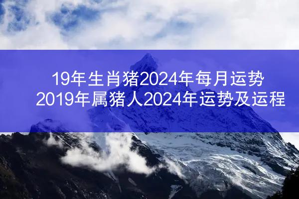 19年生肖猪2024年每月运势 2019年属猪人2024年运势及运程