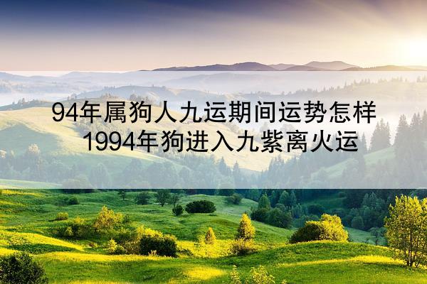 94年属狗人九运期间运势怎样 1994年狗进入九紫离火运