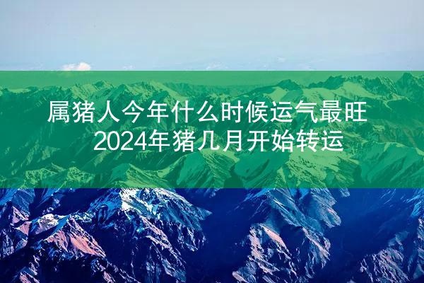 属猪人今年什么时候运气最旺 2024年猪几月开始转运