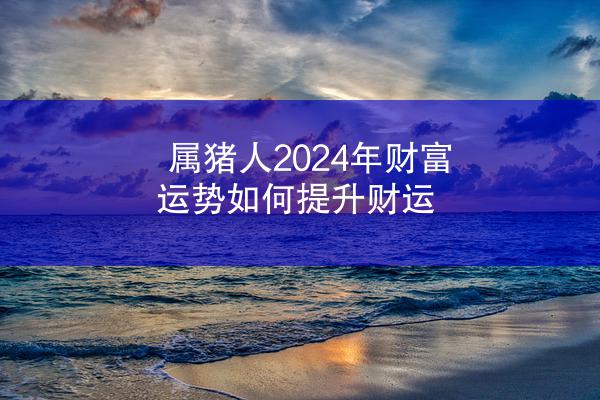 属猪人2024年财富运势如何提升财运